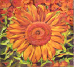 "Sunflower orange"