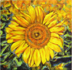 "Sunflower summer"